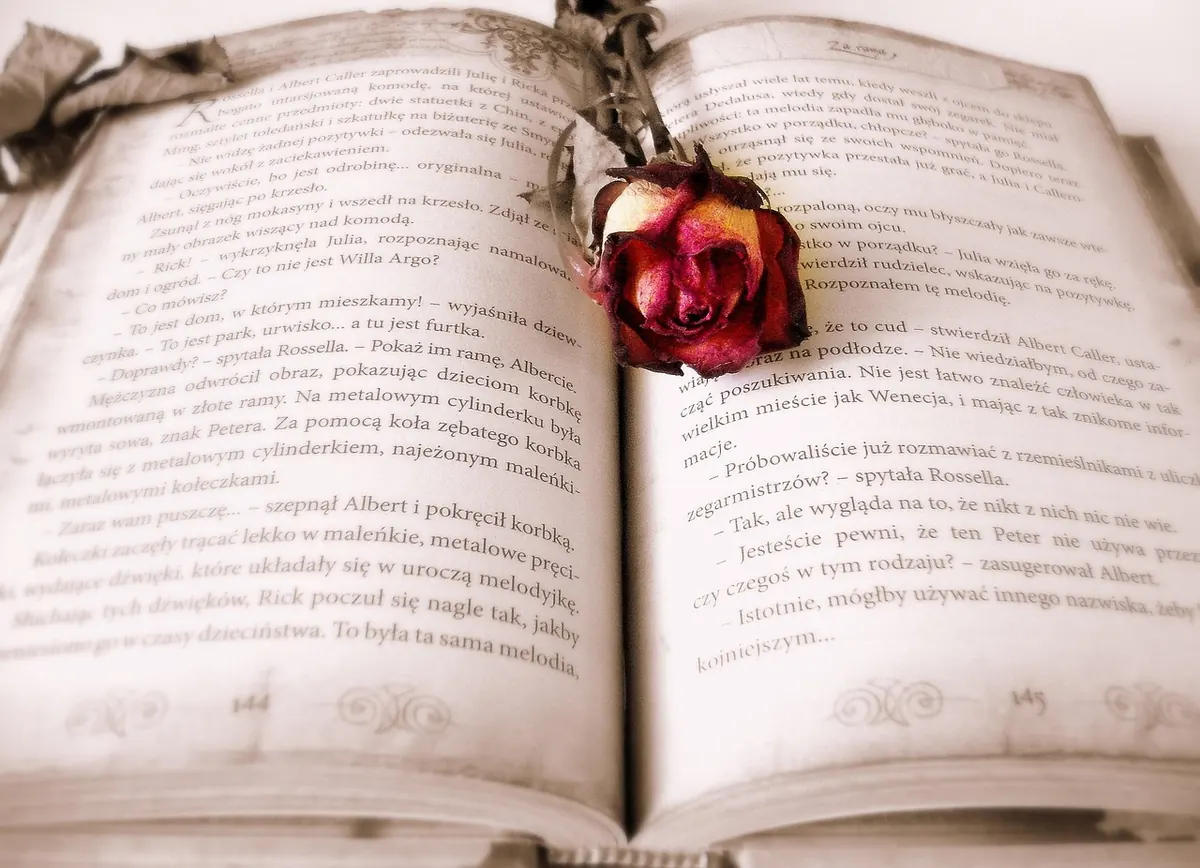 Poetry Pamphlet vs Full Collection: Which Should You Submit First?